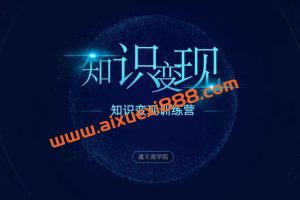 【众筹】王通知识变现学习笔记