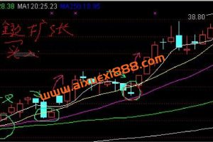 李雨青 全套炒股资料、选股公式