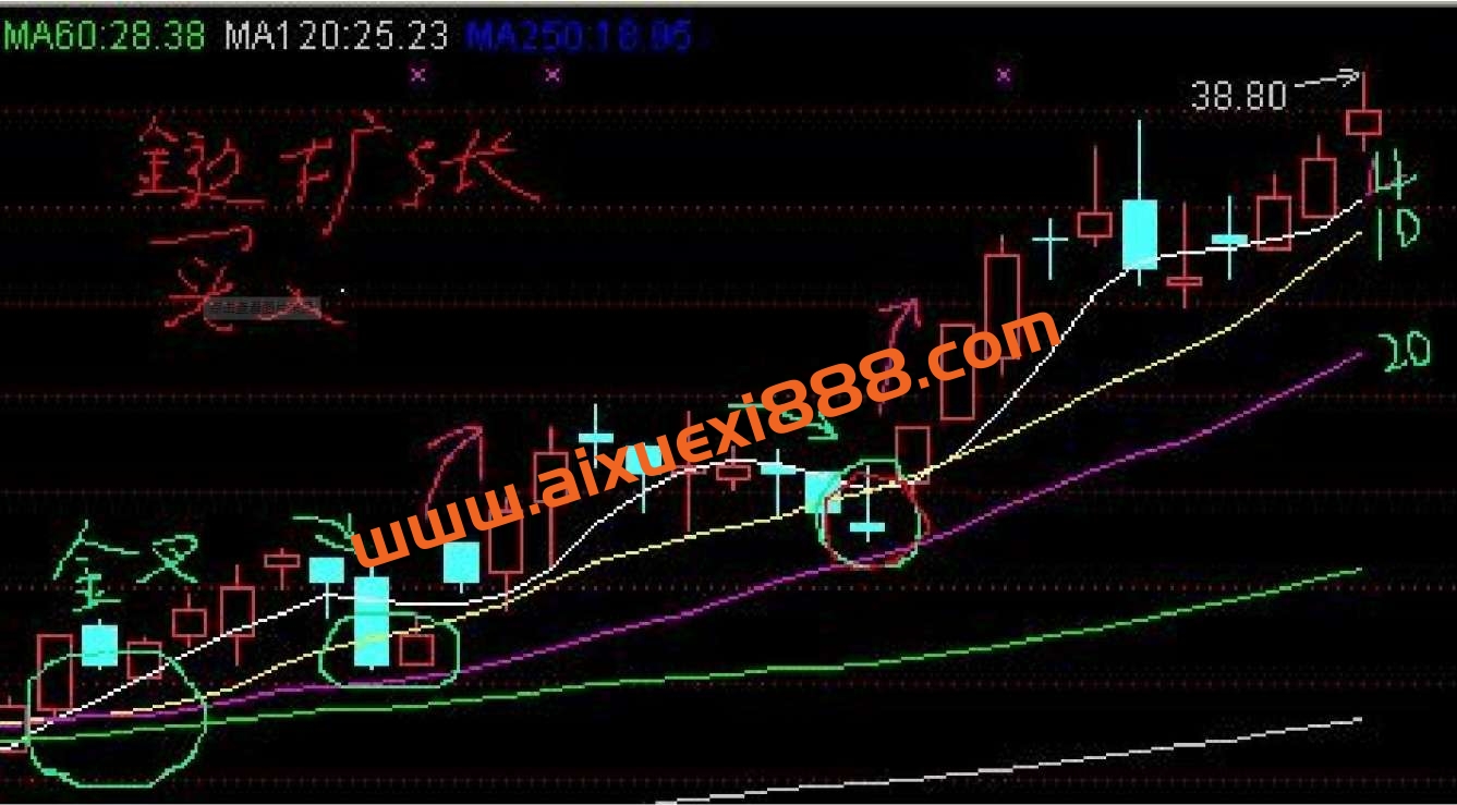 李雨青 全套炒股资料、选股公式插图