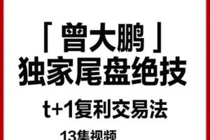 曾大鹏财经 独家尾盘绝技 t+1复利交易法