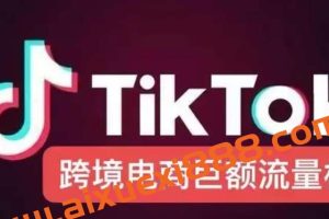 电商孵化中心·TikTok精品课程，价值4580元