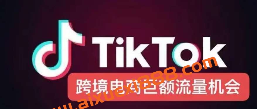 电商孵化中心·TikTok精品课程，价值4580元插图