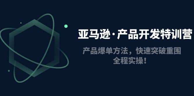 亚马逊·产品开发特训营：产品爆单方法，快速突破重围，全程实操插图