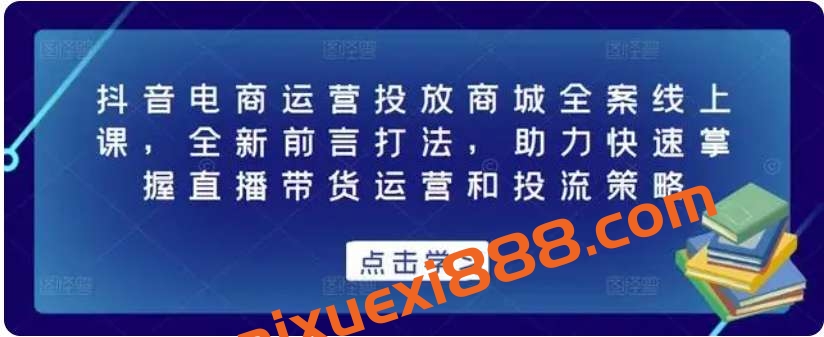 抖音电商运营投放商城全案线上课，全新前言打法，助力快速掌握直播带货运营和投流策略插图