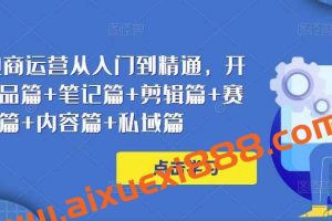 小红书电商运营从入门到精通，开店篇+选品篇+笔记篇+剪辑篇+赛道篇+内容篇+私域篇