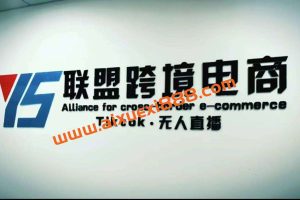 Tiktok无人直播，不出镜不剪辑不拍摄不发货无售后的跨境短视频玩法