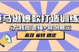 亚马逊爆款打造训练营：5大核心逻辑 案例展示 打造爆款链接 高效 省钱 稳定