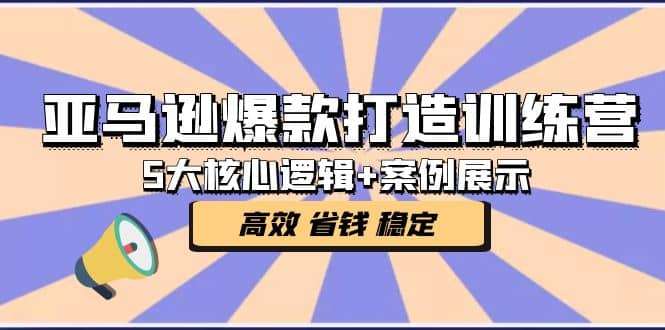 亚马逊爆款打造训练营：5大核心逻辑 案例展示 打造爆款链接 高效 省钱 稳定插图