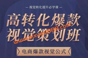 大圣《高转化爆款视觉策划班》