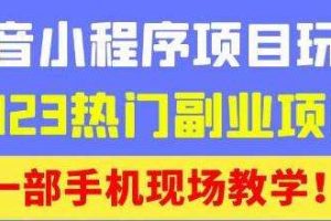 抖音小程序9.0新技巧，2023热门副业项目，动动手指轻松变现