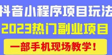 抖音小程序9.0新技巧，2023热门副业项目，动动手指轻松变现插图