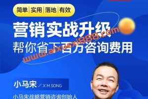 小马宋营销实战升级：价值百万的品牌营销底层逻辑