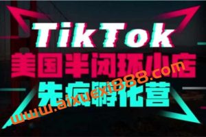 李社长《TikTok美国半闭环小店先疯孵化营》