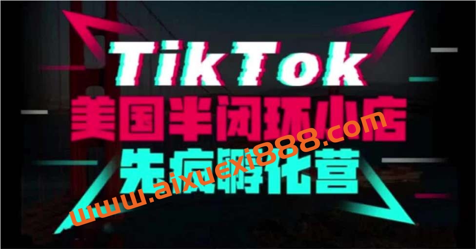 李社长《TikTok美国半闭环小店先疯孵化营》插图