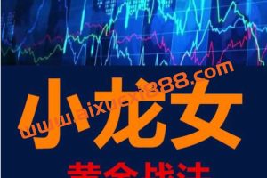 【小龙女】量学大讲堂-聂金群黄金战法2023公开课合集包 更新2023一年视频