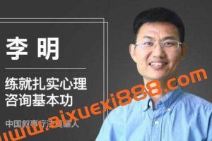 李明·练就扎实心理咨询基本功课程视频