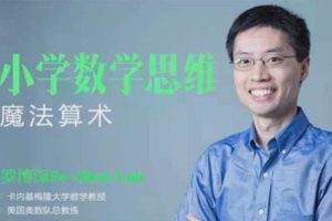 罗博深 小学数学思维课《魔法算术》