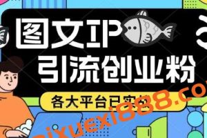 抖音快手小红书图文ip引流实操课，日引50-100！价值1688