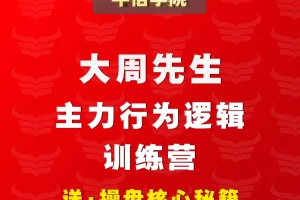 大周先生：主力行为逻辑训练营半年期（第六期）