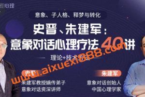 史晋、朱建军：意象对话心理疗法40讲 理论+技术方法