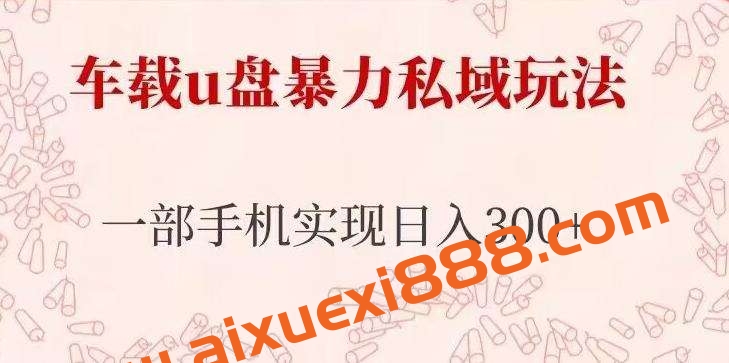 车载u盘暴力私域玩法，长期项目，仅需一部手机实现日入300+插图