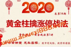 【仲展】龙头密探白马密探第十四期 量学擒龙黄金战法擒涨停