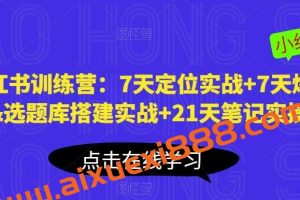 小红书训练营：7天定位实战+7天爆款拆解&选题库搭建实战+21天笔记实操实战