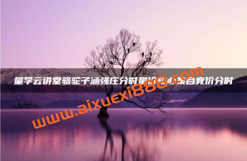 【量学云讲堂】骆驼子涵强庄分时量价核心集合竞价分时插图