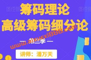 【潘万天】「筹码理论」 第三季 高级筹码细分论1-10课