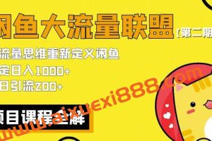 价值1980最新闲鱼大流量联盟骚玩法，单日引流200 ，稳定日入1000 【第二期】