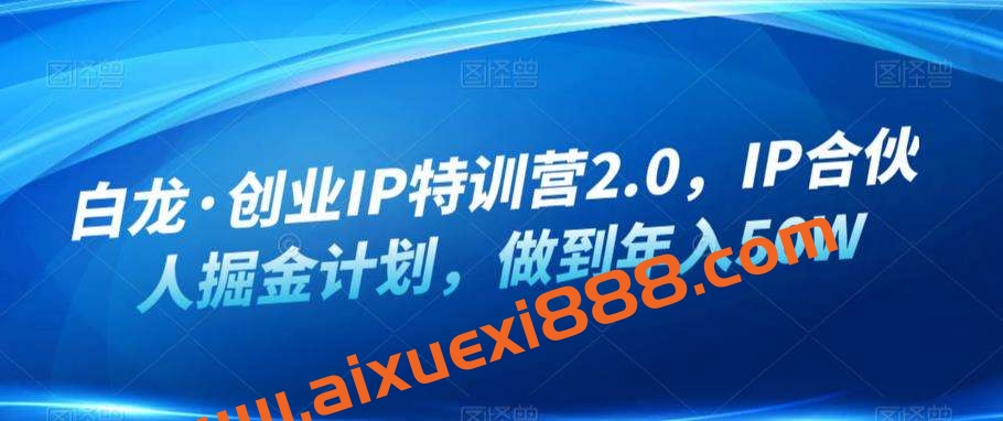 白龙·创业IP特训营2.0，IP合伙人掘金计划，做到年入50W插图