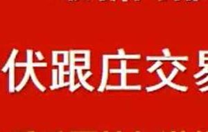 「期海」致量潜伏跟庄交易体系