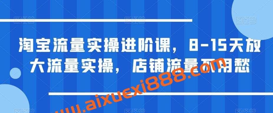 淘宝流量实操进阶课，8-15天放大流量实操，店铺流量不用愁！插图