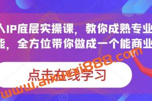 蟹老板·打爆个人IP底层实操课，教你成熟专业的打造IP技能，全方位带你做成一个能商业化IP