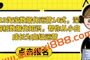 2023淘宝数据化运营14式，深度解析数据化知识，帮你从小白成长为高级运营