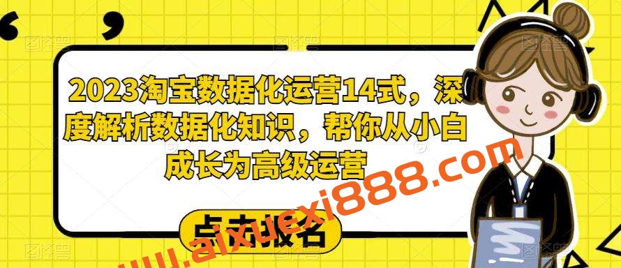 2023淘宝数据化运营14式，深度解析数据化知识，帮你从小白成长为高级运营插图