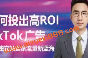 【众筹】稳哥《如何投出高ROI的TikTok广告》开拓独立站卖家流量新蓝海