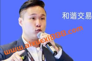 【和谐商学院】铁力老师 和谐交易初级中级高级班5集