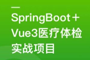 SpringBoot+Vue3+MySQL集群 开发大健康体检双系统