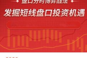 【股市-技术面-高阶】2023年孙阳盘口分时博弈战法视频课程