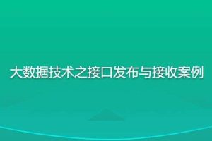 尚硅谷大数据技术之接口发布与接收案例