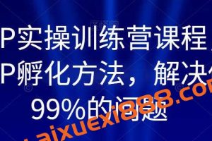 百万IP实操训练营课程，完整的IP孵化方法，解决做号99%的问题