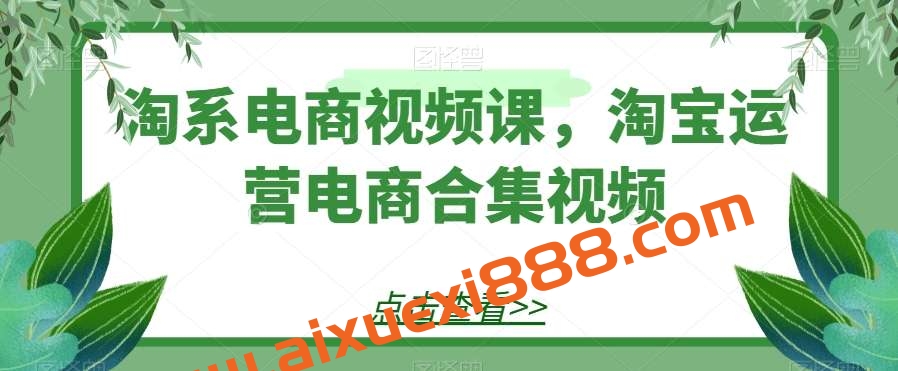 淘系电商视频课，淘宝运营电商合集视频插图