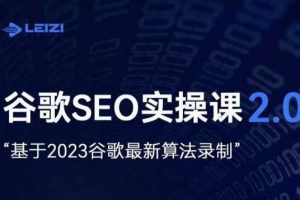 雷子·谷歌SEO 2.0实战课，独立站询盘自由必备，基于2023谷歌最新算法录制