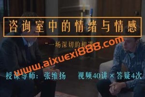 张维扬: 咨询室中的情绪与情感