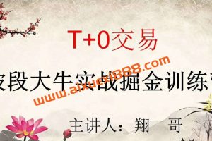 翔哥擒龙重磅课程 T+0交易波段大牛实战掘金训练营实战课程