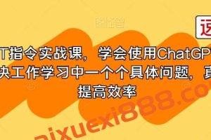 GPT指令实战课，学会使用ChatGPT，解决工作学习中一个个具体问题，真正提高效率