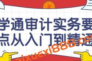 学通审计实务要点从入门到精通课