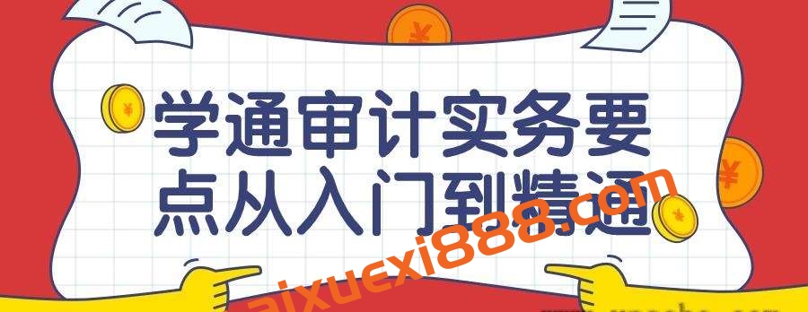 学通审计实务要点从入门到精通课插图