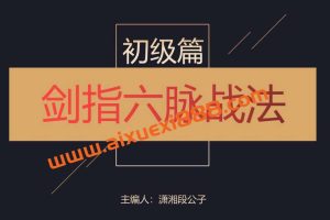 2023年崔一帆-潇湘段公子系统课视频+剑指六脉战法